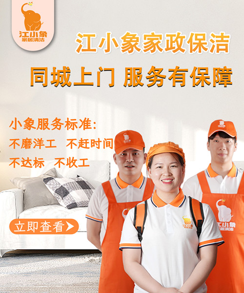 揭秘江小象 “四专二标” 服务体系：重新定义家政服务新高度